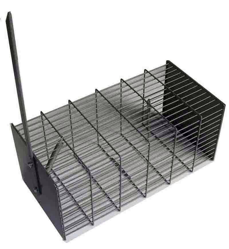 RATERA METALICA JAULA TRAMPA N 1