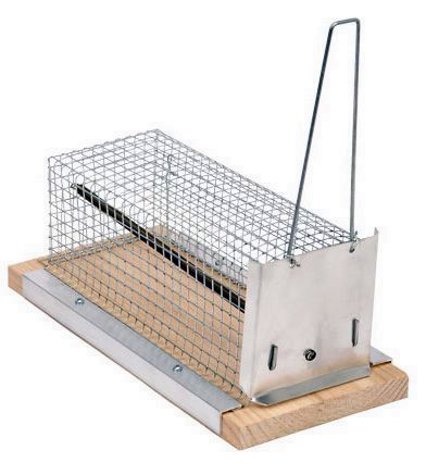 RATERA TELA METALICA RECTANGULAR 21CM SAUVIC