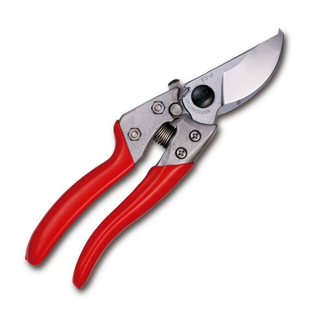 TIJERA PODAR ARS 20 CMS. 8RVS8XZ